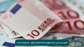 تغير جديد في سعر اليورو أمام الجنيه اليوم.. كم وصل الآن؟